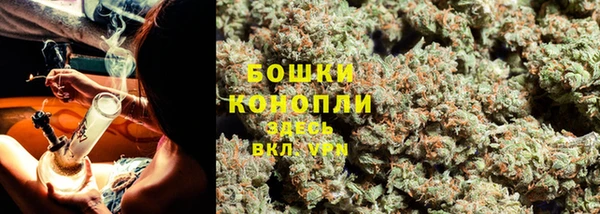 ECSTASY Няндома