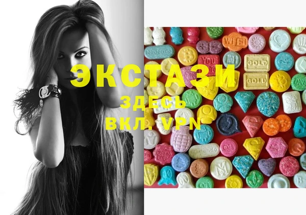 ECSTASY Няндома