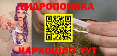 мяу мяу мука Абакан