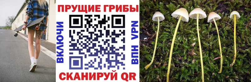 Псилоцибиновые грибы Magic Shrooms Алатырь