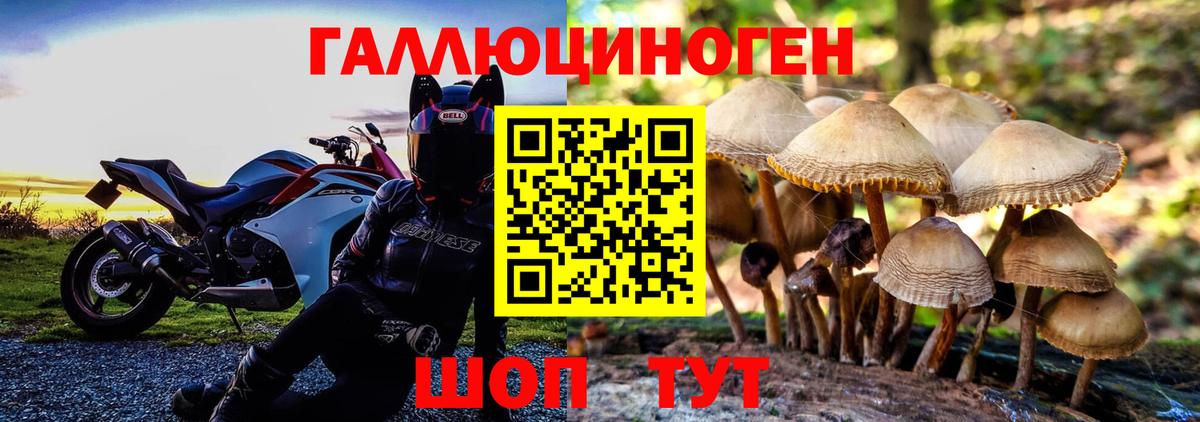 Алатырь  Галлюциногенные грибы прущие грибы  Вход с VPN 