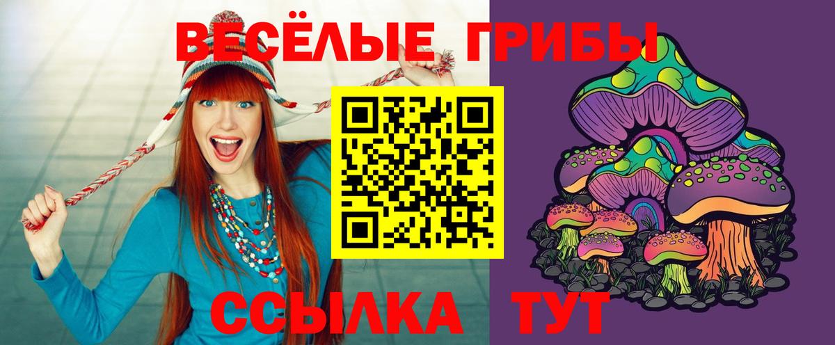 Галлюциногенные грибы GOLDEN TEACHER Алатырь
